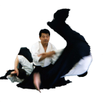 Aikido Techniques Author: Dan Kudo Sensei