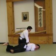 Aikido is about blending energy and redirecting it to achieve control.  This video illustrates the idea of moving the mind and allowing the body to follow.