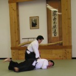 Aikido Techniques: Nikkyo Pin