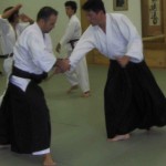 Aikido Techniques: Shiho Nage