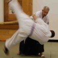 It may seem odd that one may talk about similarities between Aikido techniques, and those of Jiu Jitsu.  Upon closer inspection, one finds that there may be as many similarities as there are differences, including the fact that Aikido techniques find their roots in Jiu Jitsu.