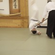 In Aikido Techniques, the concept of blending or harmonization is applied on the mat in a self defense context as well as off the mat in a verbal conflict.